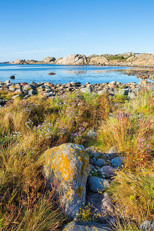 海岸线和石头，moumarka Tjome Vestfold挪威